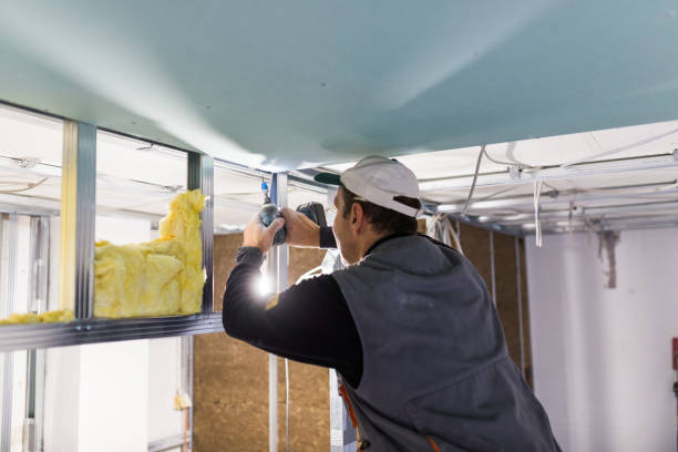 Best Insulation Maintenance and Repair in Vincent, CA