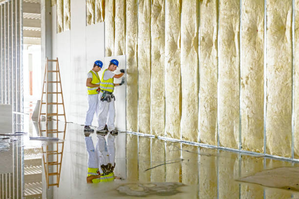 Best Geographic-Specific Insulation Services in Vincent, CA